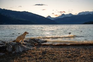 DSC_6990-web-2_300x100000