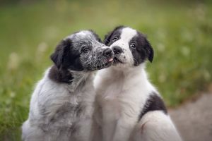 LZ6_5059_web_3_300x100000