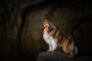 Lilli-roggli_9505-web_300x100000