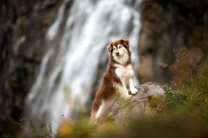 lilliroggli_photography_7060_Kopie_2_300x100000
